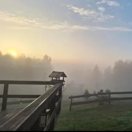 Siedlisko Konie- Natura -