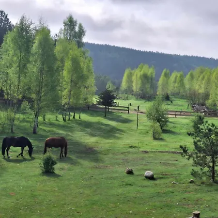 Siedlisko Konie- Natura -